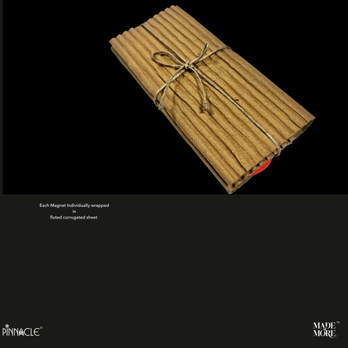 Unstoppable Fridge Magnet